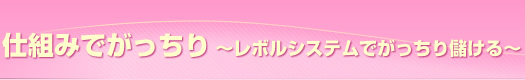 仕組みでがっちり～レボルシステムでがっちり儲ける～